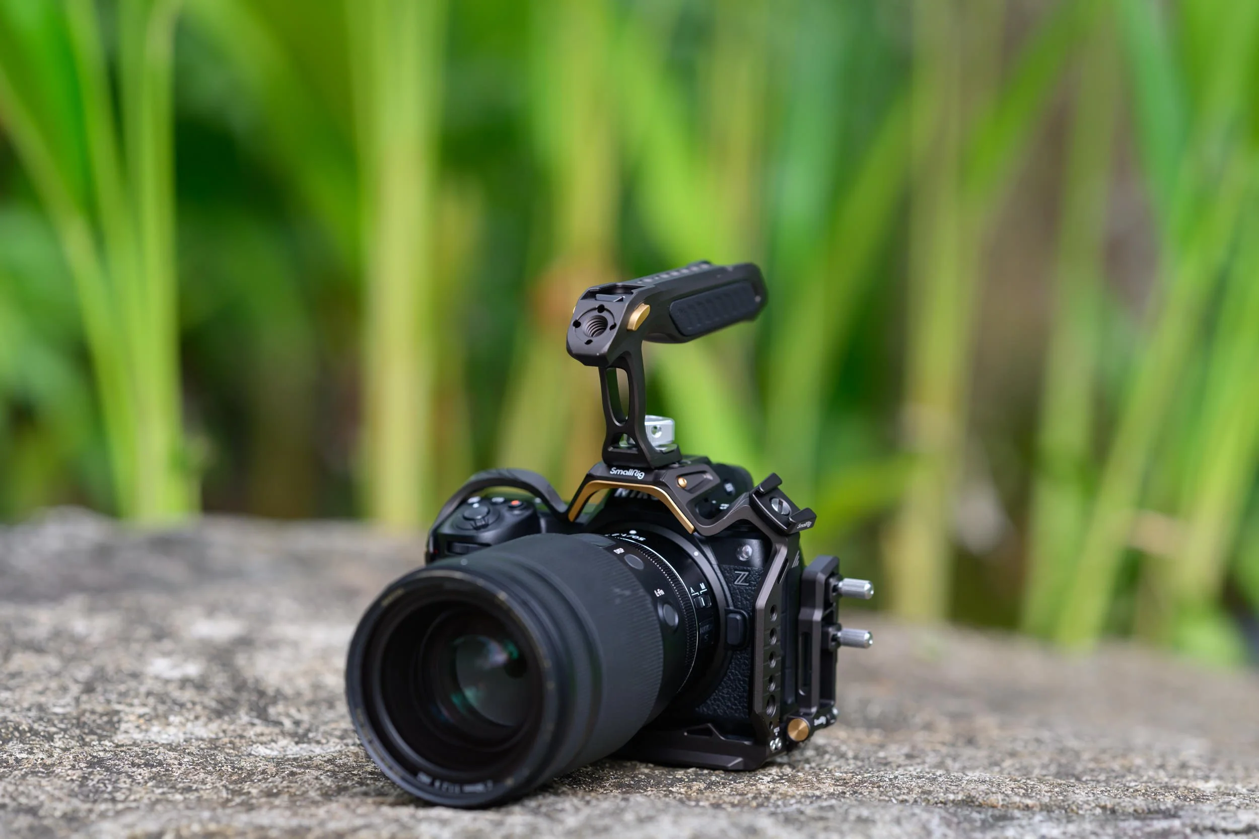 Nikon Z 6iii Review, Is This Nikon's New Low Light King? — Zachary